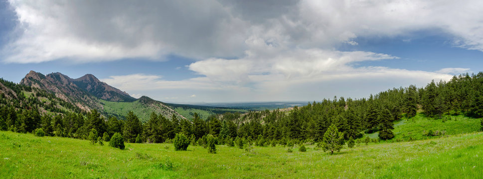 landscape with three and clouds in the sky and glass