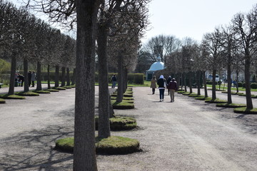 senior couple walking in the park