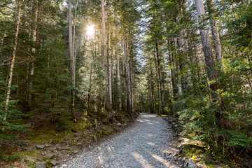 Fototapeta premium Hiking trail in Ordesa National Park, Pyrenees, Huesca, Aragon, Spain.