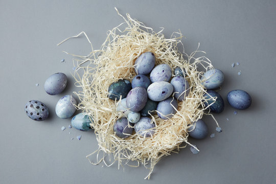 Easter colored eggs in the nest