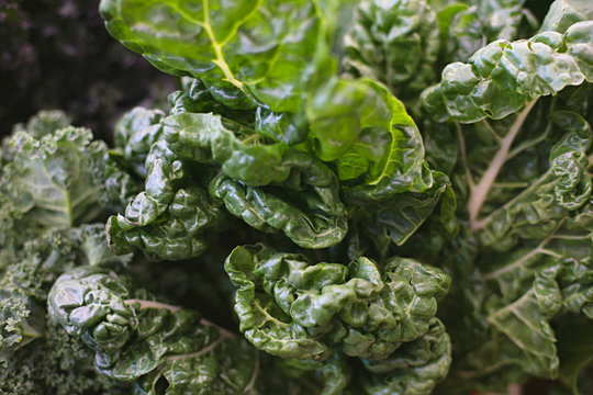 Close up of fresh fruit and vegetables at a market in Melbourne Australia - kale, silverbeet, spinach