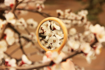 Flowers in the mirror reflection. Flowering tree. The tree blooms in the spring