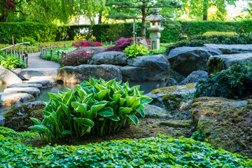 D, Bayern, Augsburg, Botanischer Garten, Japanischer Garten im Frühjahr