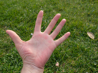 male hand on the grass