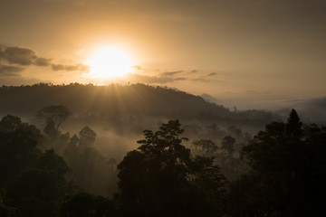 Beautiful sun rise over the mountain in the forest of Hala Bala, wildlife sanctuary at Narathiwat, Southern Thailand connected to Malaysia.