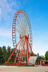 Fototapeta premium Beautiful ferris wheel on the background of summer green park