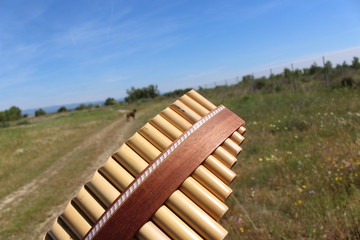musique des andes : flute de pan