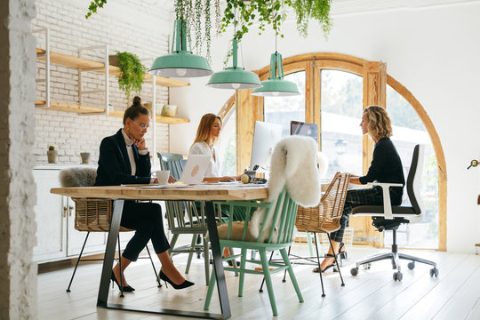 Female team working in a modern office.