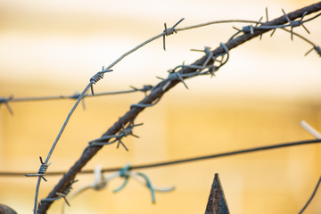 Fence with peaks and barbed wire on orange background