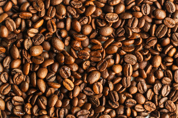 coffee beans (good and bad grain) - arabica and robusta blend (roasted coffee grain). Black background. Top view . Copy space