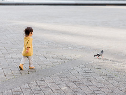 Baby chasing bird in Paris