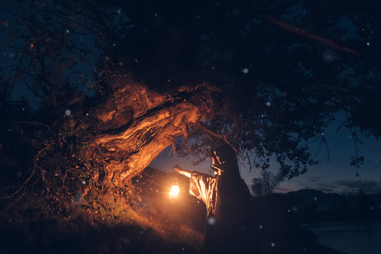 Night search