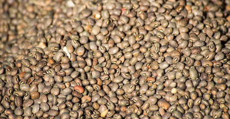 Beans production in Myanmar