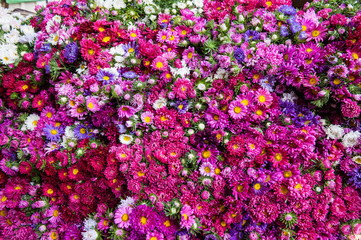 Flower market, Myanmar