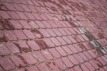 Fototapeta premium Rectangular red concrete paving slabs. Background, texture of paving slabs.