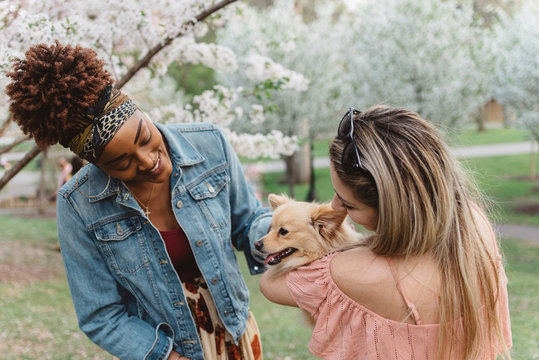 Two girls in their twenties at the park with their dogs