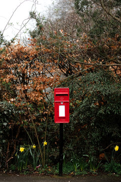 red postbox surrounded by vegetation
