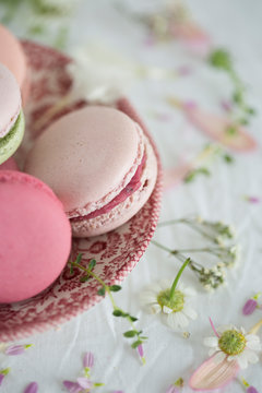 Colourful macarons on vintage plate
