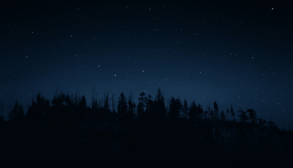 Mountain forest under the night sky