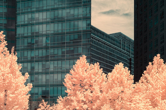 Beijing,in infrared light