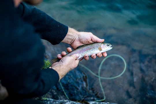 A young man holding a lake trout fish that he caught with a fly rod.