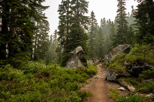 A young man hiking with a large backpack through a misty forest.