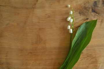 bouquet of fresh lilies of the valley on a wooden backgroundSpring mood