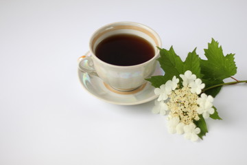 cup of coffee with a blooming sprig of viburnum