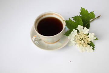 cup of coffee with a blooming sprig of viburnum