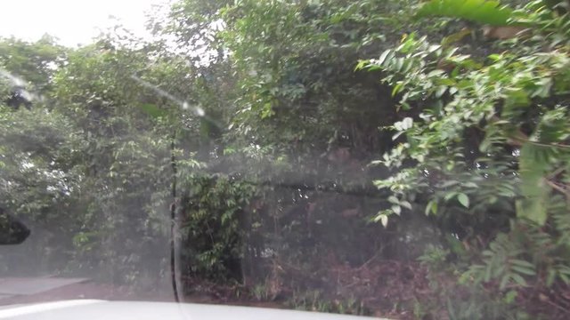 wood bridge in road