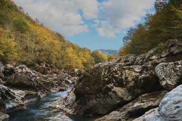 Mountain landscape, beautiful view of the mountains and trees, summer vacation in the mountains