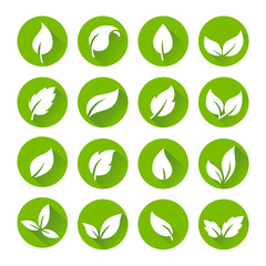 Green Leaves Icons