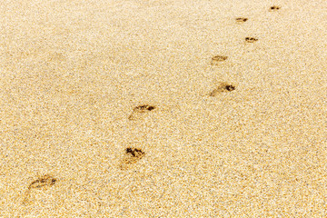 Footprints on the sandy beach. Space for text. Background.