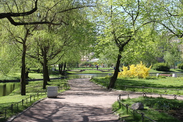 park, forest, reflection, spring