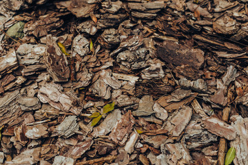 Natural background of red and brown pieces of tree bark wood chip mulch for gardening or natural themes