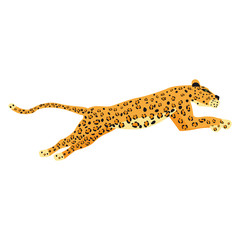 Leopard cute trend style, animal predator mammal, jungle