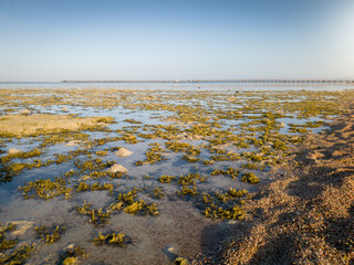 Beautiful landscape of coral reef, sea weeds and long pier at sea lit by sunset light rays