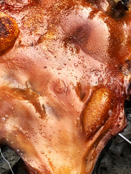 Closeup of fresh and delicious roast suckling pig, baked in a homemade red brick charcoal stove