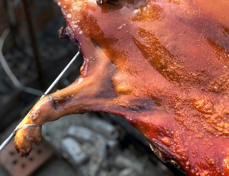 Closeup of fresh and delicious roast suckling pig, baked in a homemade red brick charcoal stove