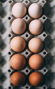 Gradient of Eggs