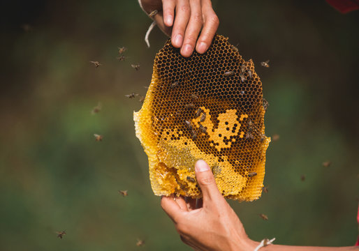 Beehives