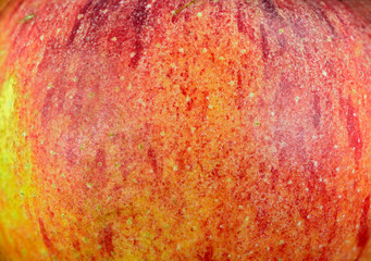 Skin of an apple