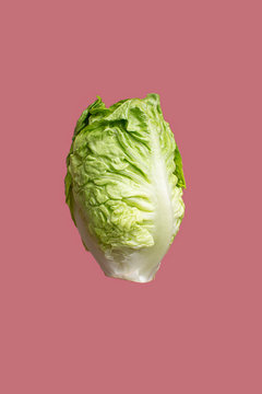 Lettuce head