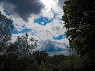 Obraz premium OLYMPUS DIGITAL CAMERA