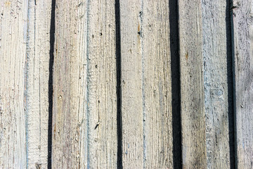 Naklejka premium weathered cracked blue color paint on rustic wooden crooked fence