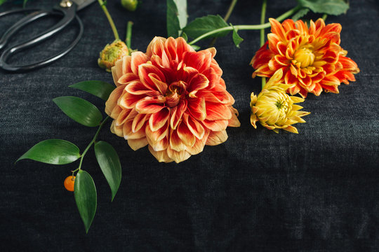 Close up of dahlia flowers on table