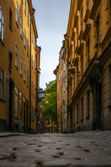 Fototapeta na wymiar The narrow cobbled streets of Stockholm in Spring