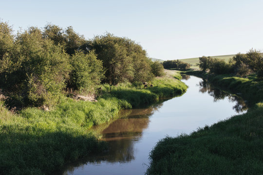 Small river flowing through lush farmland and forest, Palouse, Washington