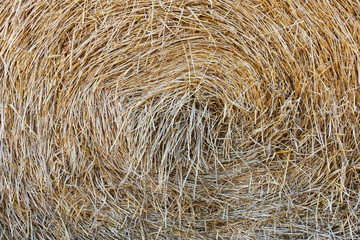 Close up of hay bale, Saskatchewan, Canada