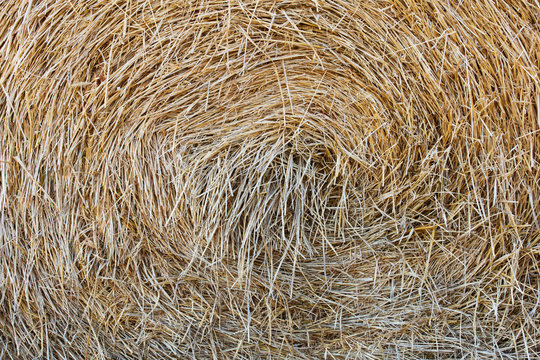 Close up of hay bale, Saskatchewan, Canada